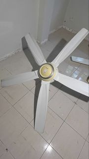 (Category: ) located in . Submitted by daro_ (Listing ID 1460281823, Image 1). Description: .