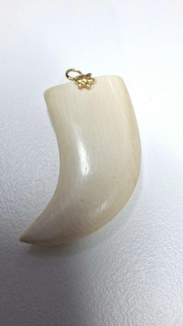 Pendant in Tooth Motif (Category: Other Accessories) located in Makati City. Submitted by archaic532shop (Listing ID 1460189412, Image 2). Description: ■Approximate Dimensions: L- 1.7 cm H-3 cm IMPORTANT NOTES: • Clients with OFFERS will be prioritized. • Selling in “As Is “condition (no warranty or guarantees) Accept all flaws before and after purchase. No returns. No exchange of items. • All items are pre-owned unless declared New • Conversatio