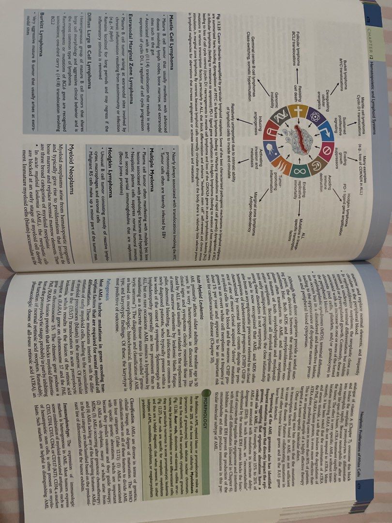 Robbins basic pathology (Category: Textbooks) located in Cyberjaya. Submitted by qaisara.33 (Listing ID 1460244829, Image 2). Description: never been used .