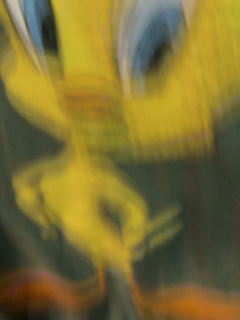 Tweety bird licenced (Category: Tshirts & Polo Shirts ) located in Cagayan de Oro. Submitted by kennymiiiiii (Listing ID 1460175883, Image 3). Description: 24*28 Issue posted Licenced warner bro.