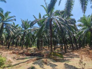 (Category: ) located in . Submitted by mudah344607 (Listing ID 1460497374, Image 1). Description: .