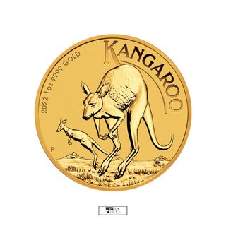 Gold Bullion 收藏品 1