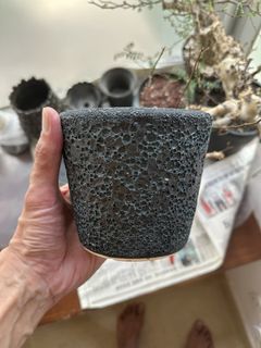 （分類：）位於 。 由 budget_for_u 提交（商品編號 1460380282，圖片 1）。簡介： 。