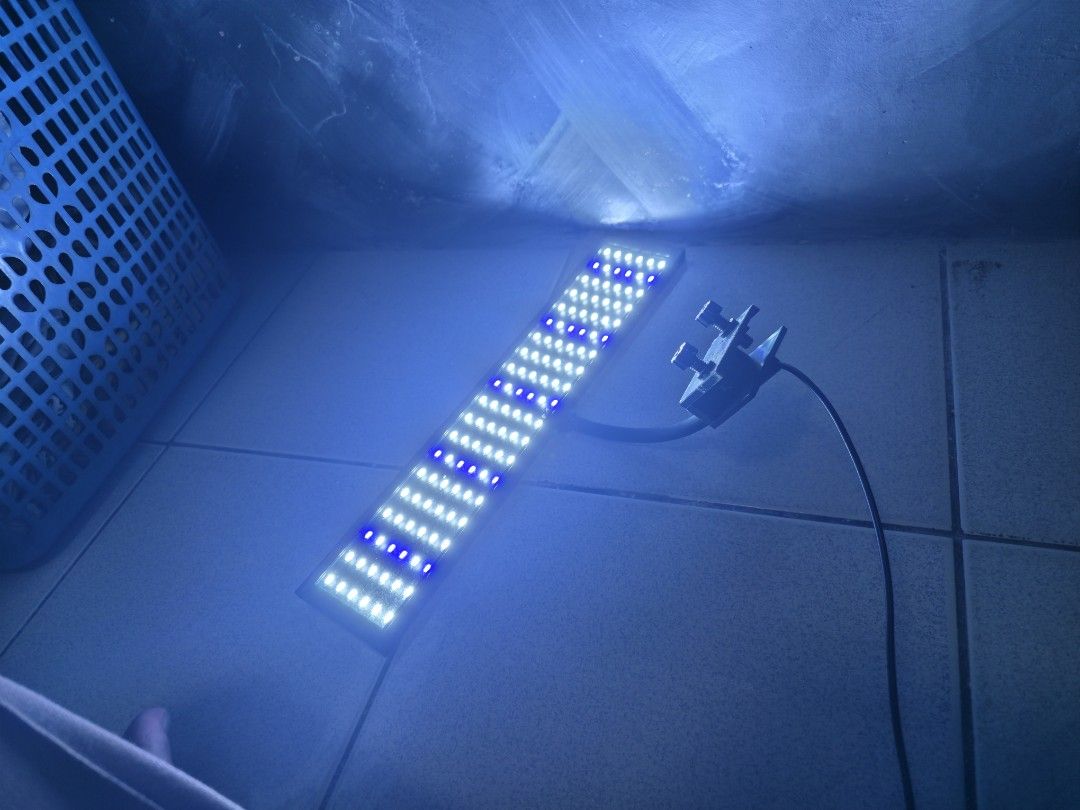 Aquarium lights 15W (Category: Homes & Other Pet Accessories) located in Rodriguez. Submitted by mugiawaya (Listing ID 1460395561, Image 2). Description: - Bright LED light bar for aquariums - Features both white and blue LEDs - Promotes plant growth and enhances tank illumination - Comes with a power adapter - Tested and confirmed working - Ready for immediate use RFS: Quitting. Unit only, montalban location.