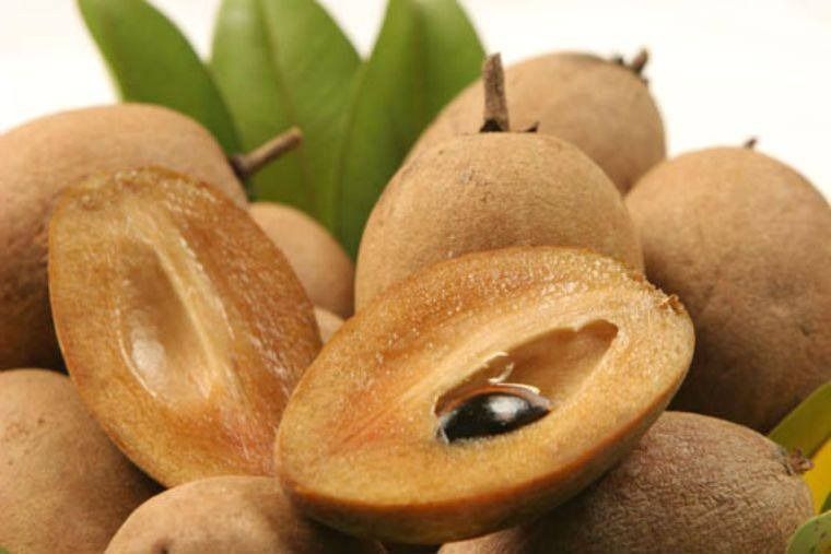 Chico (Grafted) (Category: Plants & Seeds) located in Los Banos. Submitted by seaalionn (Listing ID 1460359659, Image 1). Description: Pineras Variety -php350 Pnderosa Variety -php350 .