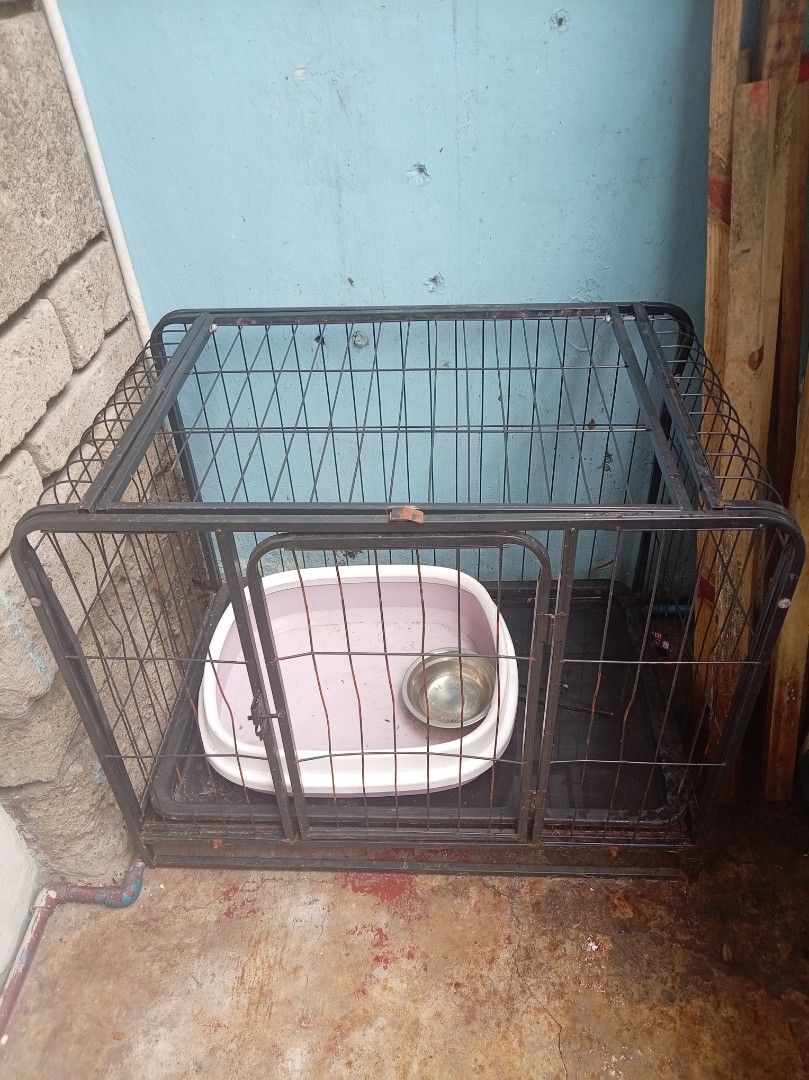 Dog cage (Category: Homes & Other Pet Accessories) located in Manila. Submitted by lebrondaya47415 (Listing ID 1460320412, Image 1). Description: issue rust kayo nlng po mag tanggal, kasama na po ung cat tray.