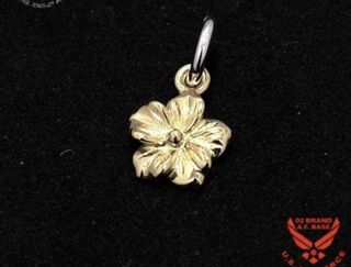 （分類：）位於 。 由 buyshellonly 提交（商品編號 1460376806，圖片 1）。簡介： 。