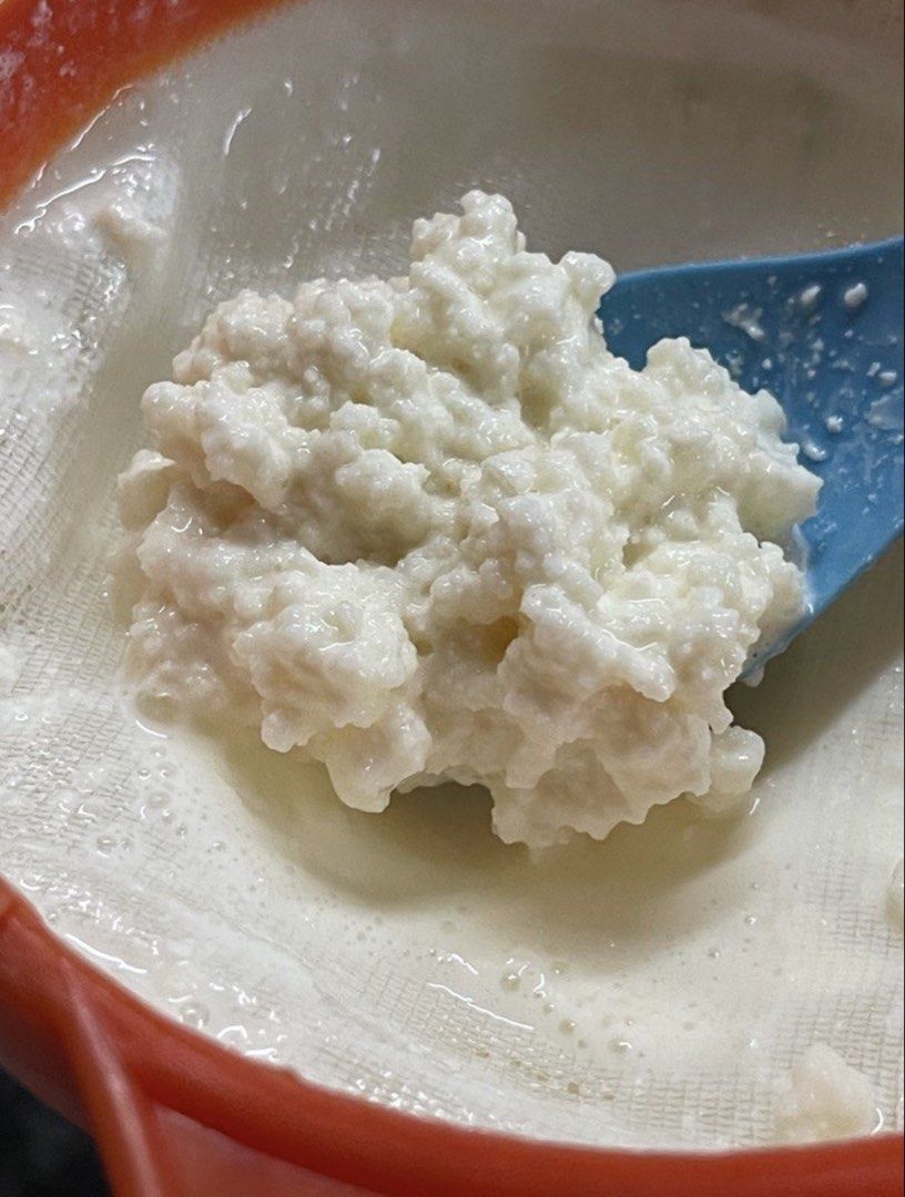 Fresh Milk Kefir Grains for Fermenting (Category: Other Food & Drinks) located in Caloocan City. Submitted by veryred (Listing ID 1460427395, Image 1). Description: - Live milk kefir grains ready to use. - Make your own healthy, probiotic-rich kefir at home. - Simply add milk and let the grains work. - Grains multiply over time, providing continuous supply. - Easy to maintain and a great source of probiotics..