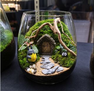 (Category: ) located in . Submitted by mossoraplants (Listing ID 1460383746, Image 1). Description: .