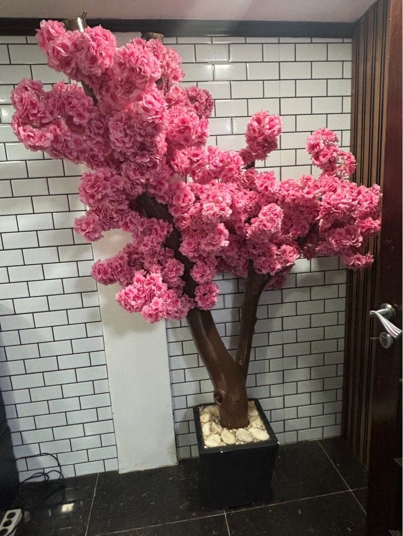 Large Artificial Pink Cherry Blossom Tree for Decoration (Category: Artificial Plants & Flowers) located in Quezon City. Submitted by things.matter (Listing ID 1460481291, Image 1). Description: - Stunning artificial cherry blossom tree - Full, vibrant pink blooms - Realistic brown trunk - Comes in a black pot with decorative stones - Perfect for home decor, events, and shop displays - Adds a beautiful pop of color and natural touch indoors - Eas