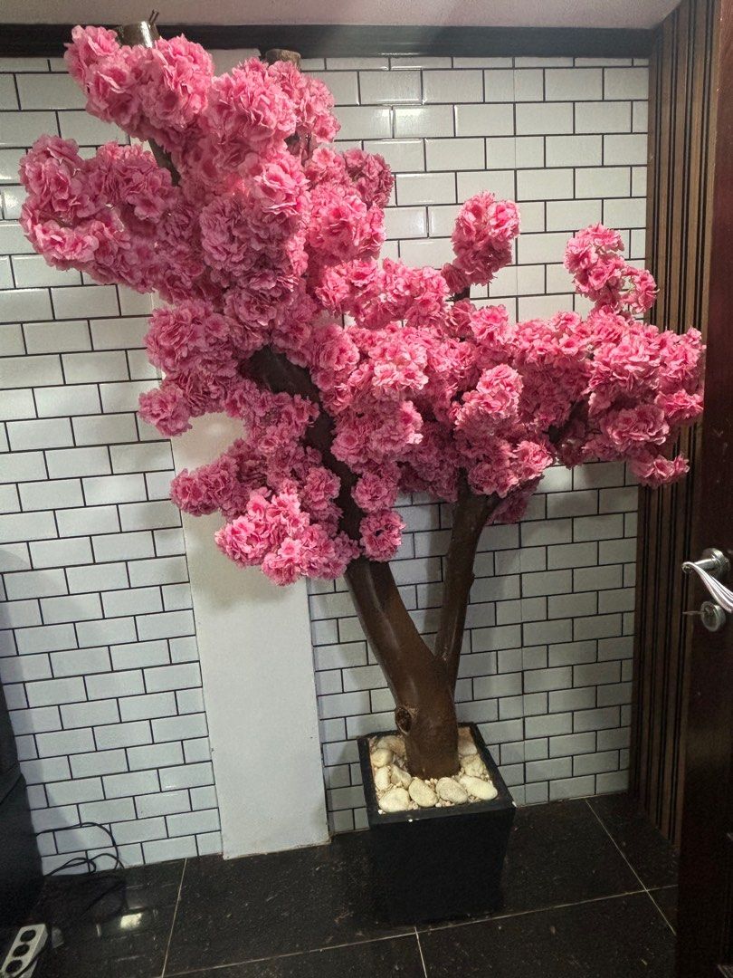Large Artificial Pink Cherry Blossom Tree for Decoration (Category: Artificial Plants & Flowers) located in Quezon City. Submitted by things.matter (Listing ID 1460481291, Image 2). Description: - Stunning artificial cherry blossom tree - Full, vibrant pink blooms - Realistic brown trunk - Comes in a black pot with decorative stones - Perfect for home decor, events, and shop displays - Adds a beautiful pop of color and natural touch indoors - Eas