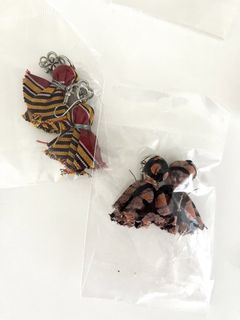 （分類：）位於 。 由 amber.am 提交（商品編號 1460341124，圖片 1）。簡介： 。