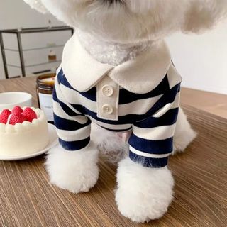 （分類：）位於 。 由 hockhurki514149 提交（商品編號 1460310094，圖片 1）。簡介： 。