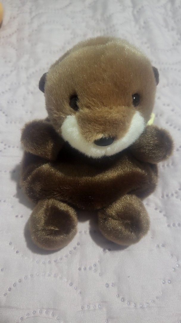 palm pals selena sea otter (Category: Designer & Blind Box Toys) located in Caloocan City. Submitted by clovuie (Listing ID 1460472802, Image 1). Description: never used tags still intact bought in sg for around 750 php rfs: decluttering.