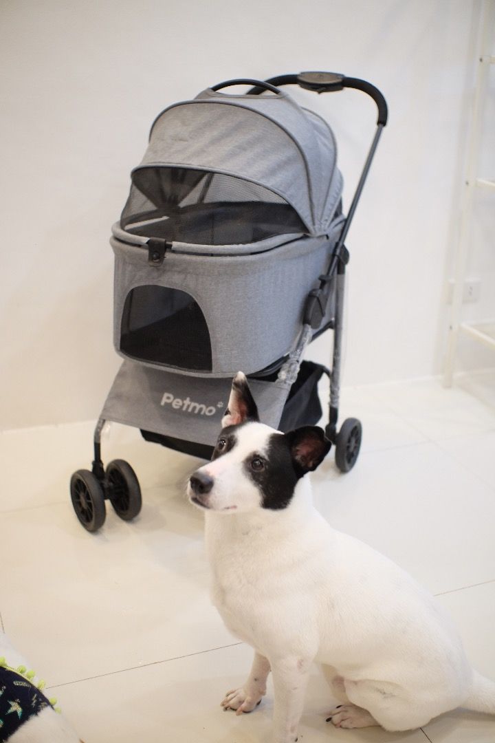 Petmo Pet Stroller - Grey (Category: Homes & Other Pet Accessories) located in Caloocan City. Submitted by marodeguzm20871 (Listing ID 1460458163, Image 1). Description: Grey Petmo Pet Stroller - Perfect for multiple small dogs or cats - Features mesh windows for excellent ventilation - Convenient storage basket underneath - Easy to fold and transport - Bought last Feb 2026 RFS: My senior shih tzu has recently passed and we couldn't use the strol