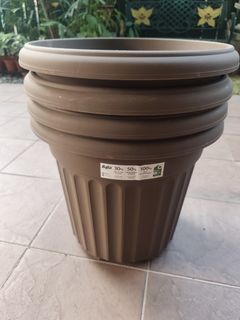 (Category: ) located in . Submitted by gardensnick (Listing ID 1460423965, Image 1). Description: .