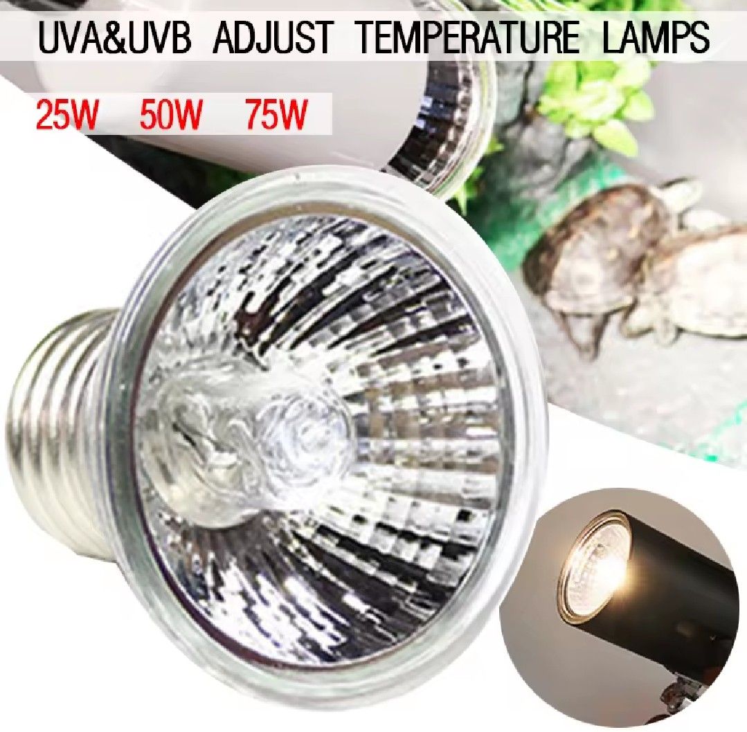 Reptile Clip HeatLamp Light Stand (Category: Lighting) located in Manila. Submitted by lotty_2489 (Listing ID 1460373621, Image 2). Description: 25/50/75Watts Onhand Brandnew GoodQuality Adjustable Heat COD GcashPayment #09706504365 Charm.