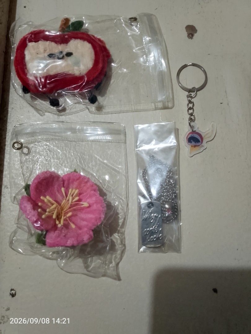 Unofficial Love and Deep Space Caleb Collection Set (Category: Designer & Blind Box Toys) located in Quezon City. Submitted by whitemoonrabbit (Listing ID 1460374552, Image 1). Description: this is one of my collections. inclusions: -A Customized made fuzzy apple and Caleb's flower motif. -his heavy silver tag with apple charm necklace "sealed" -mini keychain of chibi Caleb in his onesies. sold as a set. well stored in my collection case. locatio