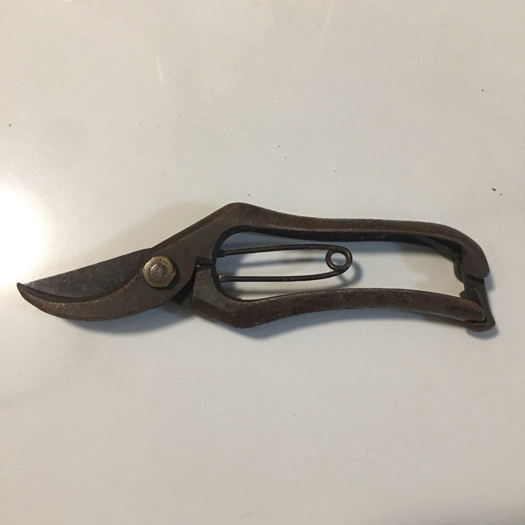 Vintage Rusty Pruning Shears Garden Tool (Category: Gardening Tools & Ornaments) located in Pasay City. Submitted by gilbertso62551 (Listing ID 1460465895, Image 1). Description: - Classic old-school pruning shears - Blades are still sharp, with minor nicks - Sturdy metal construction - Spring-loaded handle mechanism - Ideal for gardening or as a decorative prop .