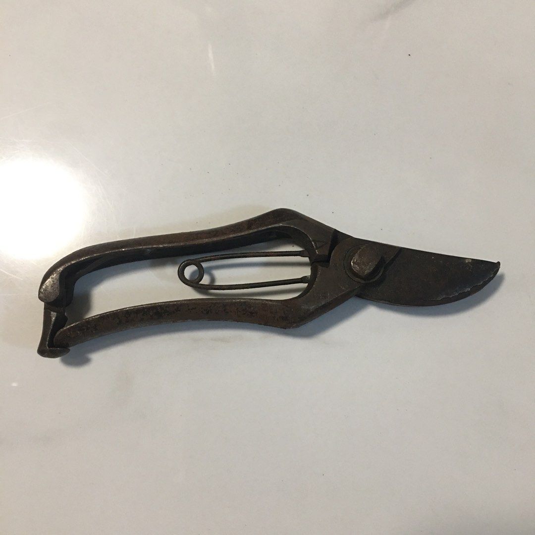 Vintage Rusty Pruning Shears Garden Tool (Category: Gardening Tools & Ornaments) located in Pasay City. Submitted by gilbertso62551 (Listing ID 1460465895, Image 2). Description: - Classic old-school pruning shears - Blades are still sharp, with minor nicks - Sturdy metal construction - Spring-loaded handle mechanism - Ideal for gardening or as a decorative prop .
