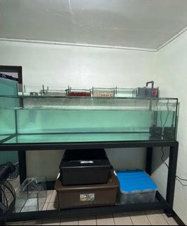 (Category: ) located in . Submitted by jeongjeongie8 (Listing ID 1460527564, Image 1). Description: .