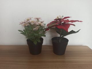 (Category: ) located in . Submitted by sghuman (Listing ID 1460553467, Image 1). Description: .