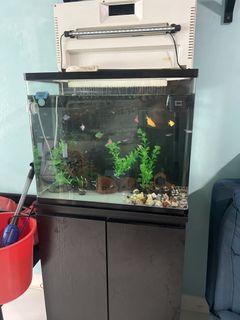 (Category: ) located in . Submitted by jeraldkjh90 (Listing ID 1460557894, Image 1). Description: .