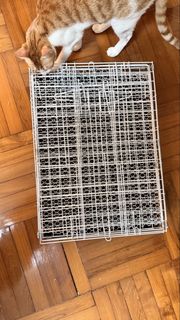 （分類：）位於 。 由 syl92 提交（商品編號 1460689040，圖片 1）。簡介： 。
