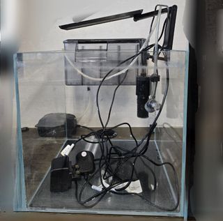 （分類：）位於 。 由 wai827 提交（商品編號 1460560689，圖片 1）。簡介： 。
