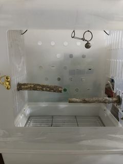 由 lavender___ (刊登 ID 1460627004，圖片 1) 提交，位於 的 (類別：)，說明：。
