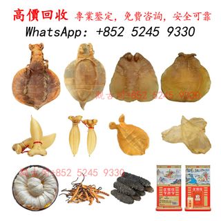（分類：）位於 。 由 warmbird_943ad6 提交（商品編號 1460528584，圖片 1）。簡介： 。