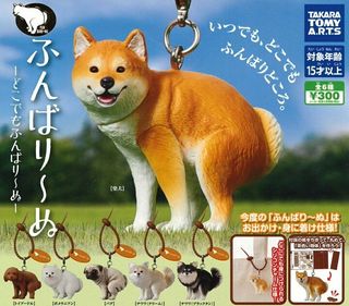 （分類：）位於 。 由 maytoys 提交（商品編號 1460589947，圖片 1）。簡介： 。