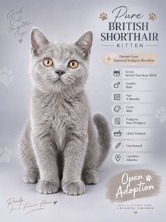 (Kategori: ) berada di . Dikirim oleh lovenesia (ID iklan 1460541381, Gambar 1). Deskripsi: .