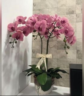 (Category: ) located in . Submitted by rsxx (Listing ID 1460653686, Image 1). Description: .