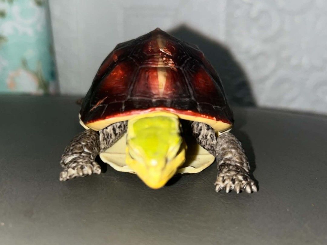 Bandai Hakogame Turtle Figure (Category: Figurines & Statues) located in Bacolod City. Submitted by racielle (Listing ID 1460657354, Image 3). Description: - Bandai Hakogame Turtle Figure - Approximately 110mm in length - Deep reddish-brown shell with darker markings - Yellow and grey head and legs - Features retractable head and legs for a realistic look - Ideal collectible for turtle enthusiasts and fans of Bandai figures.