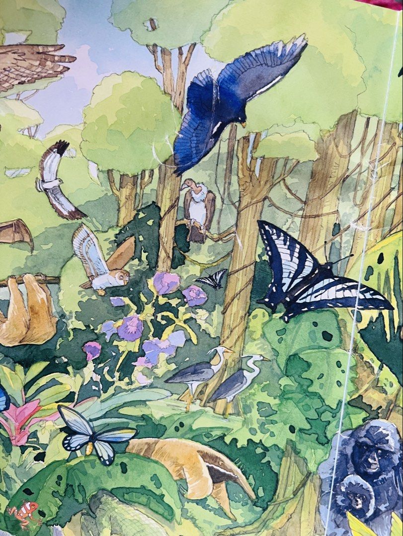 Busy Animals Search Puzzle Book (Category: Children's Books) located in Manila. Submitted by definiens (Listing ID 1460696372, Image 2). Description: Big size 8 habitats with beautiful illustrations Helps develop focus and attention Fun individual or family activity Best for 3 years old and up, even older kids love it Folded crease on cover, barely noticeable RFS: Making space for new books.