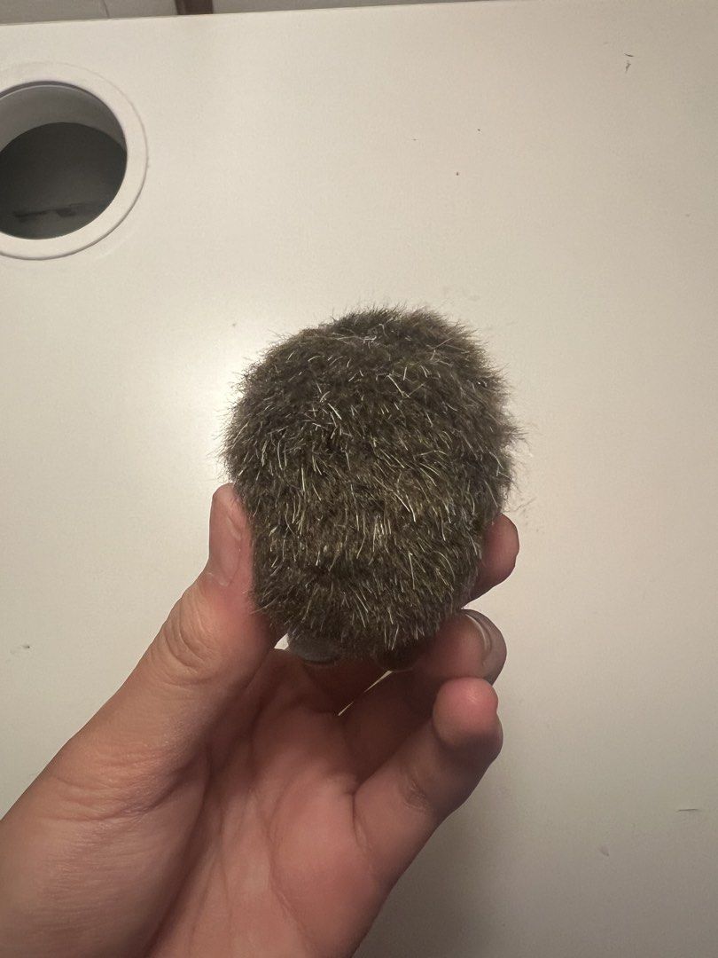 Calico Critter Hedgehog (Category: Plushies & Soft Toys) located in Pasig City. Submitted by snoopeaa (Listing ID 1460665336, Image 2). Description: The Hedgehog is in okay condition, please help him find a new home :)! 💵: Gcash 🚛: lalamove.