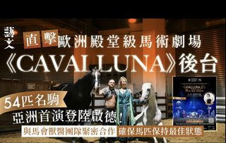 （分類：）位於 。 由 karybd 提交（商品編號 1460549891，圖片 1）。簡介： 。