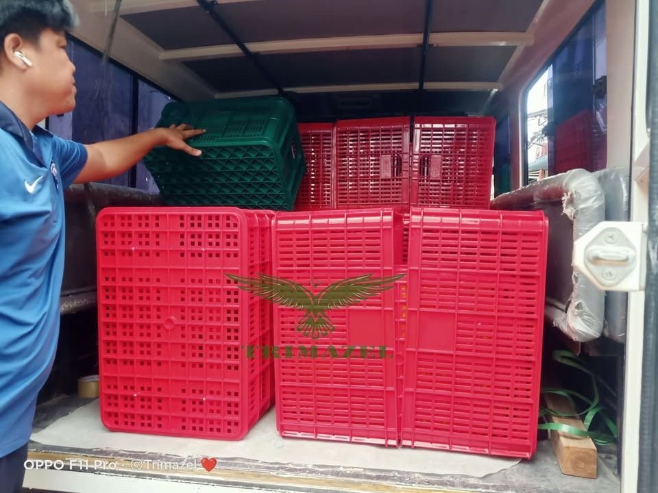 crates (Category: Looking For) located in Quezon City. Submitted by irishbayaban20 (Listing ID 1460518062, Image 1). Description: ✅ Guaranteed lowest price ✅ Quality products ✅ Big discount for bulk orders ✅ 100% LEGIT TRUSTED SUPPLIER! ✅ With Complete Legal Documents ✅ BIR Registered We Supply All Kinds Of PPE Supplies, Raincoat, Hard Hat, Cooler Box, Plastic Trash Bin, Road Barriers, Kayak Boats, Crystal Kayak, Traffic Cone, T-Bollards & All Ki