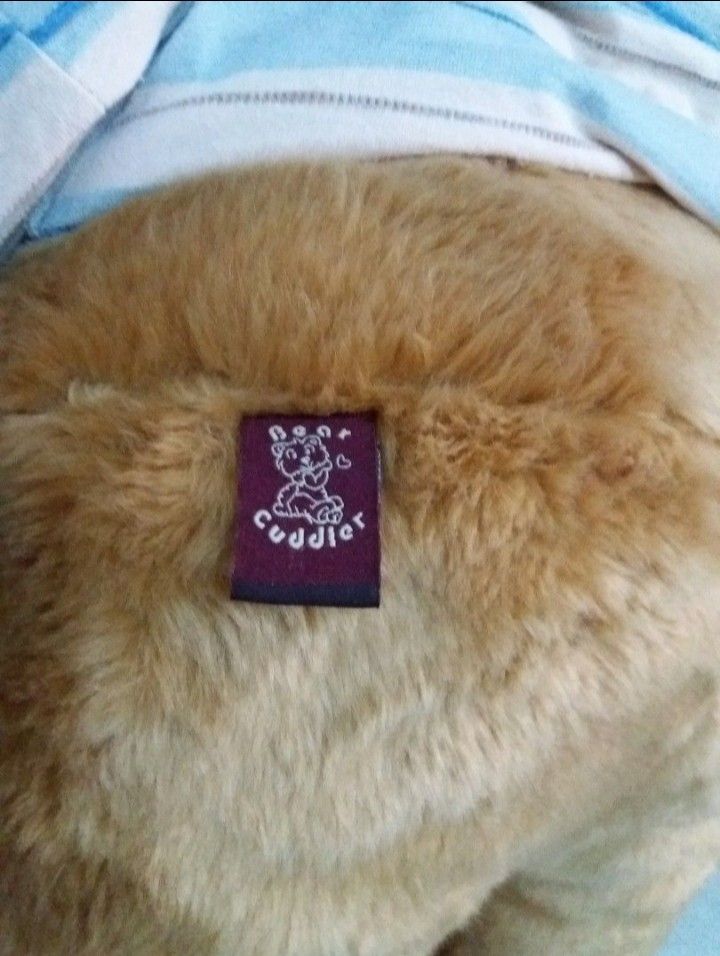 Cute Cuddler Teddy Bear with Striped Shirt (Category: Plushies & Soft Toys) located in Bulacan. Submitted by mitchikoscollection (Listing ID 1460638986, Image 2). Description: - Big and soft teddy bear - Wearing a cute blue and white striped shirt with character print - Tag reads 'Bear Cuddler' - Ideal for hugs and companionship - Perfect for collectors or as a gift 🩷Authentic Original Bear Cuddler 30 Inches pag naka tayo🩷.