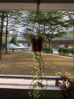 (Category: ) located in . Submitted by anuraj61359716 (Listing ID 1460510683, Image 1). Description: .