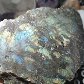 (Category: ) located in . Submitted by alise_crystal (Listing ID 1460567909, Image 1). Description: .
