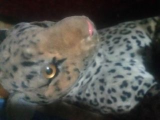 (Category: ) located in . Submitted by dimaguilaa94969 (Listing ID 1460509348, Image 1). Description: .