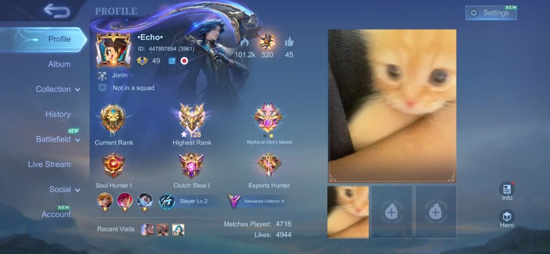 Mobile Legends Account (Category: Game Gift Cards & Accounts) located in Caloocan City. Submitted by kanaaa901 (Listing ID 1460707851, Image 2). Description: negotiable .