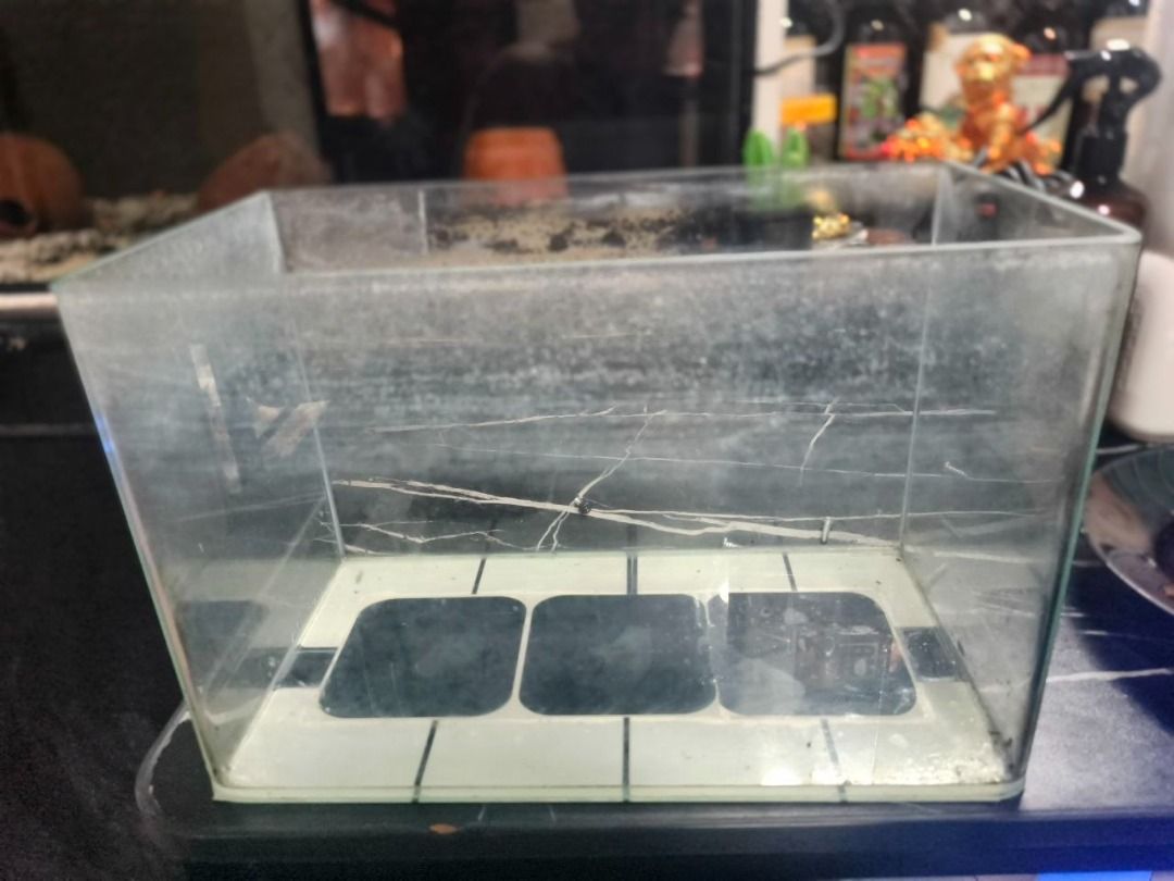 Sea Quest Curved tank no.30 (Category: Homes & Other Pet Accessories) located in Pasig City. Submitted by randomstuffs23 (Listing ID 1460543468, Image 1). Description: Linisin nyo nalang Sea Quest Curved tank no.30 (31 x 17 x 20 cm).