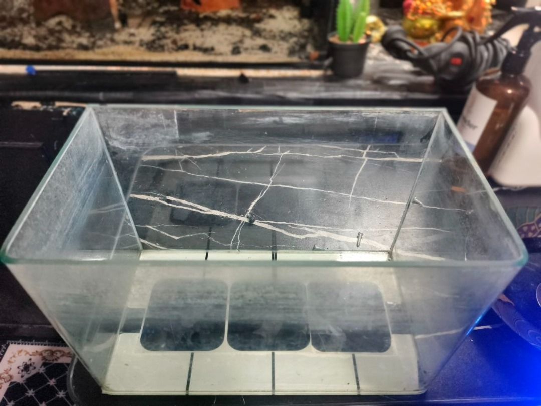 Sea Quest Curved tank no.30 (Category: Homes & Other Pet Accessories) located in Pasig City. Submitted by randomstuffs23 (Listing ID 1460543468, Image 2). Description: Linisin nyo nalang Sea Quest Curved tank no.30 (31 x 17 x 20 cm).