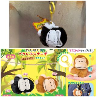 （分類：）位於 。 由 amaay2105645 提交（商品編號 1460610430，圖片 1）。簡介： 。