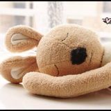 (Category: ) located in . Submitted by littlefloralshop (Listing ID 1338627249, Image 1). Description: .