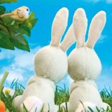 (Category: ) located in . Submitted by lovelyrabbits (Listing ID 1378335535, Image 1). Description: .