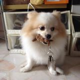 (Category: ) located in . Submitted by xjing (Listing ID 1384257020, Image 1). Description: .